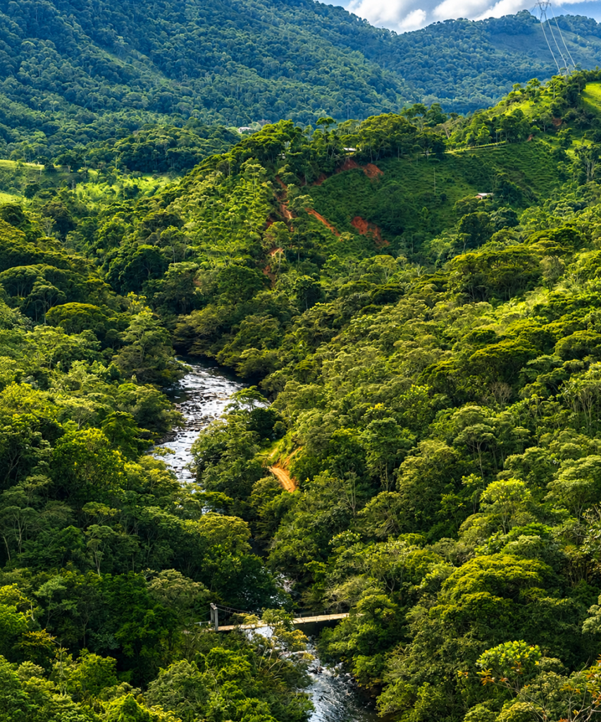 Cañón verde del río San Carlos visto desde altura, Antioquia